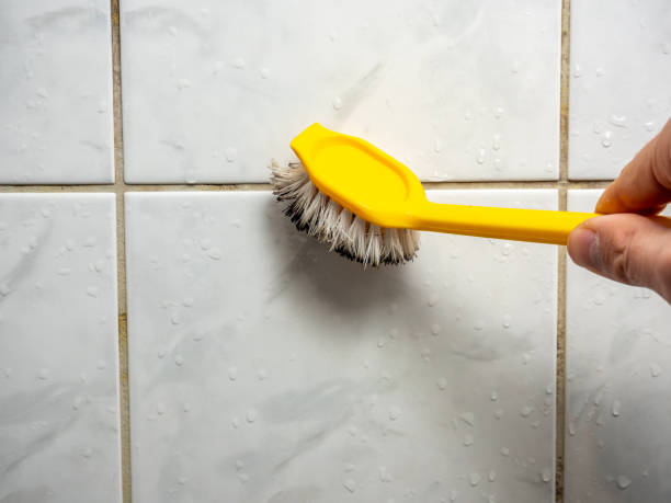 Best Local Mold Removal Service  in Waynesboro, MS