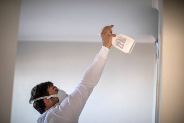 Mold Testing and Removal in Waynesboro, MS