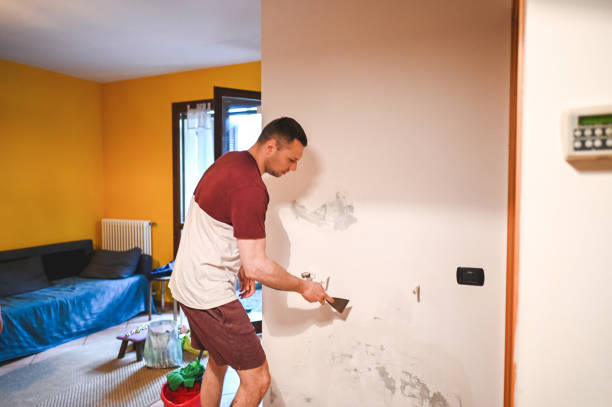 Best Mold Inspection  in Waynesboro, MS